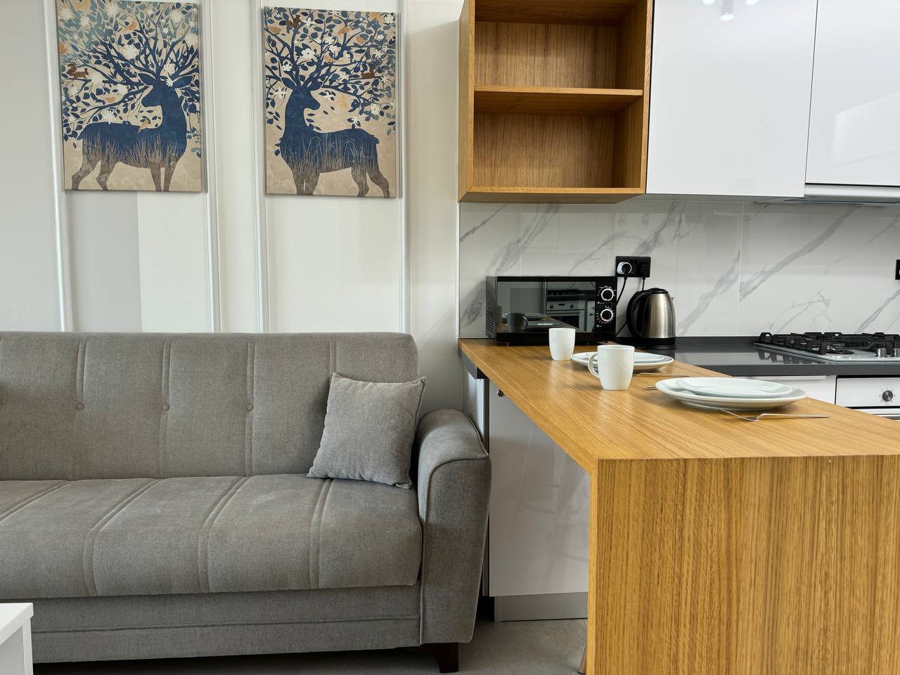 Photo 3 of 3: Rent Studio, Bogaz, Iskele